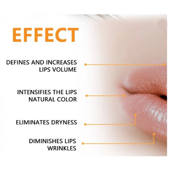 Lip Booster Serum, Microneedle Roller System Kit